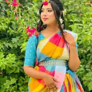 Half Silk Multicolor Grammen Check Saree